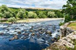 River Teviot - Kelso