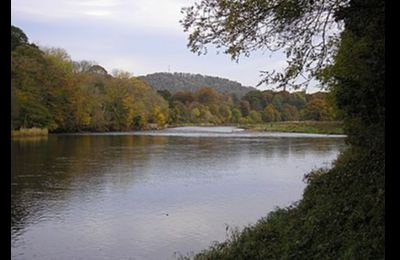 River Tweed