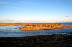 River Ythan - Ythanwells