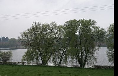 Durleigh Reservoir