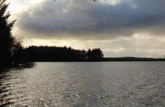 Loch Ronald - Glenluce