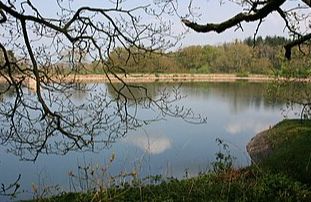 Leigh Reservoir