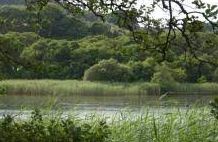 Round Loch - Thriepley