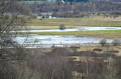 RSPB Insh Marshes - Kingussie