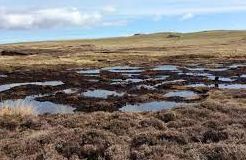 Sandy Loch - Shetland