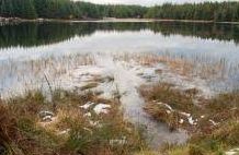 Loch Scoly - Aberfeldy