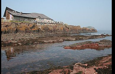 Scottish Seabird Centre - North Berwick