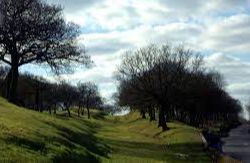 Seabegs Wood, (HES) - Antonine Wall