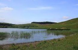 Shielswood Loch - Selkirk