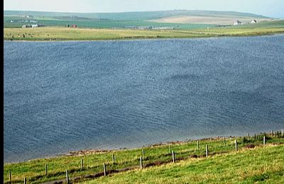 Loch of Swannay - Birsay