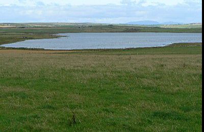 Loch of Tankerness - Tankerness