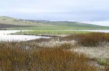 Loch of  Wasdale - Finstown