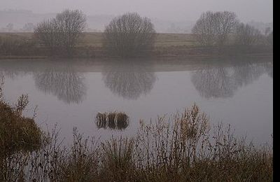 White Loch - Blairgowrie