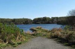 Whitefield Loch - Glenluce