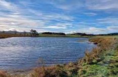 Williestruther Loch - Hawick