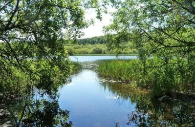 Woodhall Loch - Balmaghie