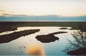 WWT Caerlaverock Wetland Centre