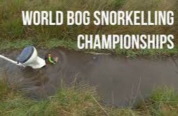 World Bog Snorkelling Championship