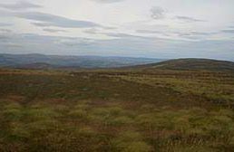 Foel Cwm Sian Llwyd - Bala