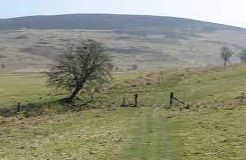 Gwaunceste Hill - Talgarth