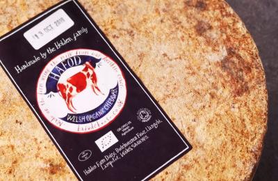 Hafod Welsh Organic Cheese - Llangybi