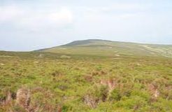 Moel Fferna - Corwen