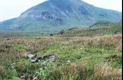 Moel Llyfnant - Bala