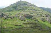 Moel yr Ogof - Beddgelert 