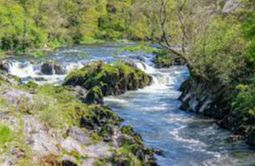 River Teifi - Cardigan