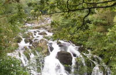 Swallow Falls