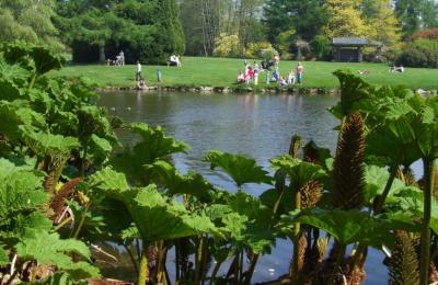 John F Kennedy Arboretum, (HI) - Wexford