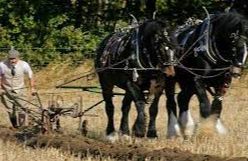 Pandy & Monnowside Ploughing - Abergavenny