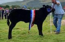 Lorn Agricultural Show - Oban