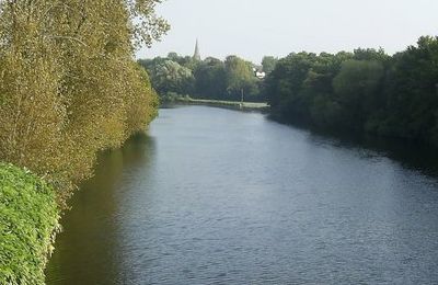 River Taff 