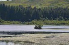 Loch Ederline - Kilmartin