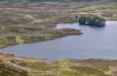 Loch Derculich - Grandtully