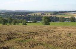 Loch of Drumellie  - Blairgowrie