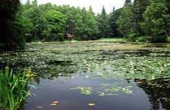 Loch Dunmore - Pitlochry