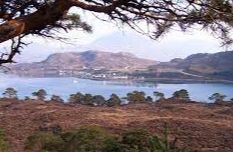 Loch Damh - Shieldaig