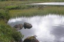 Loch Dola - Lairg