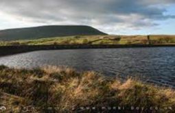 Millar's Moss Reservoir - St Abbs