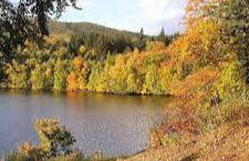 Loch Faskally - Pitlochry