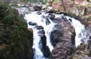 Falls of Braan  - Dunkeld