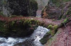 Falls of Turret - Crieff