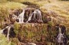 Loup of Fintry - Fintry