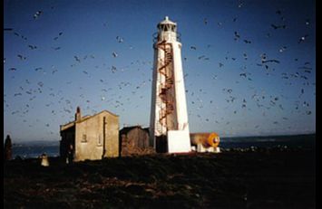 Lady Isle Lighthouse - Troon