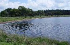 Hillend Loch - Caldercruix