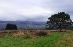 Trinafour Country Walks - Perthshire