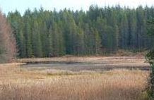 Lochan nan Nighean - Whitebridge