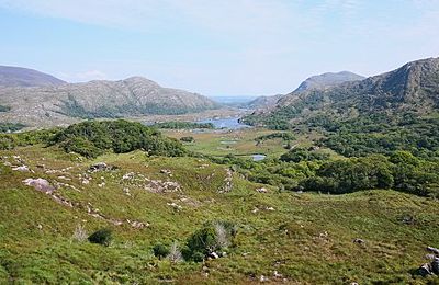 Killarney National Park - Muckross